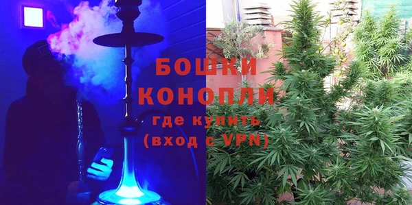 метадон Новодвинск