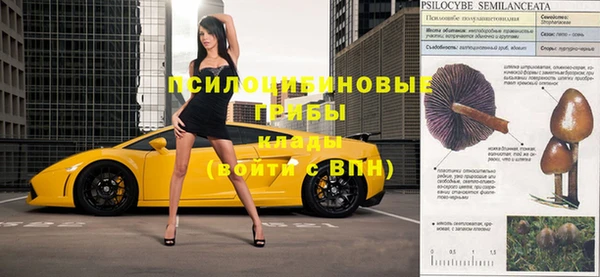 метадон Новодвинск