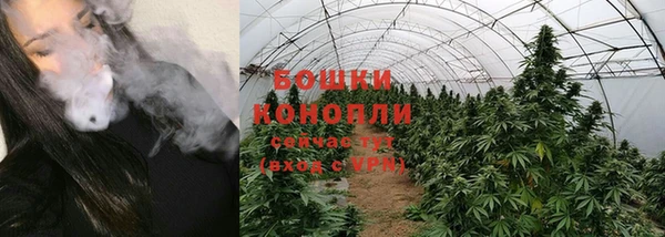 метадон Новодвинск