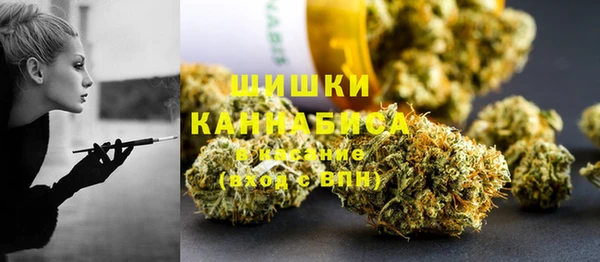 метадон Новодвинск