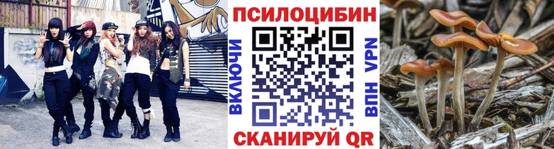 Галлюциногенные грибы мицелий Струнино